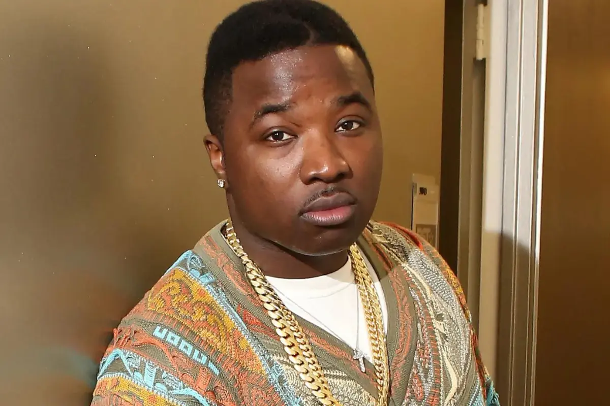 troy ave net worth